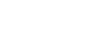 Logo_TheBigHand white
